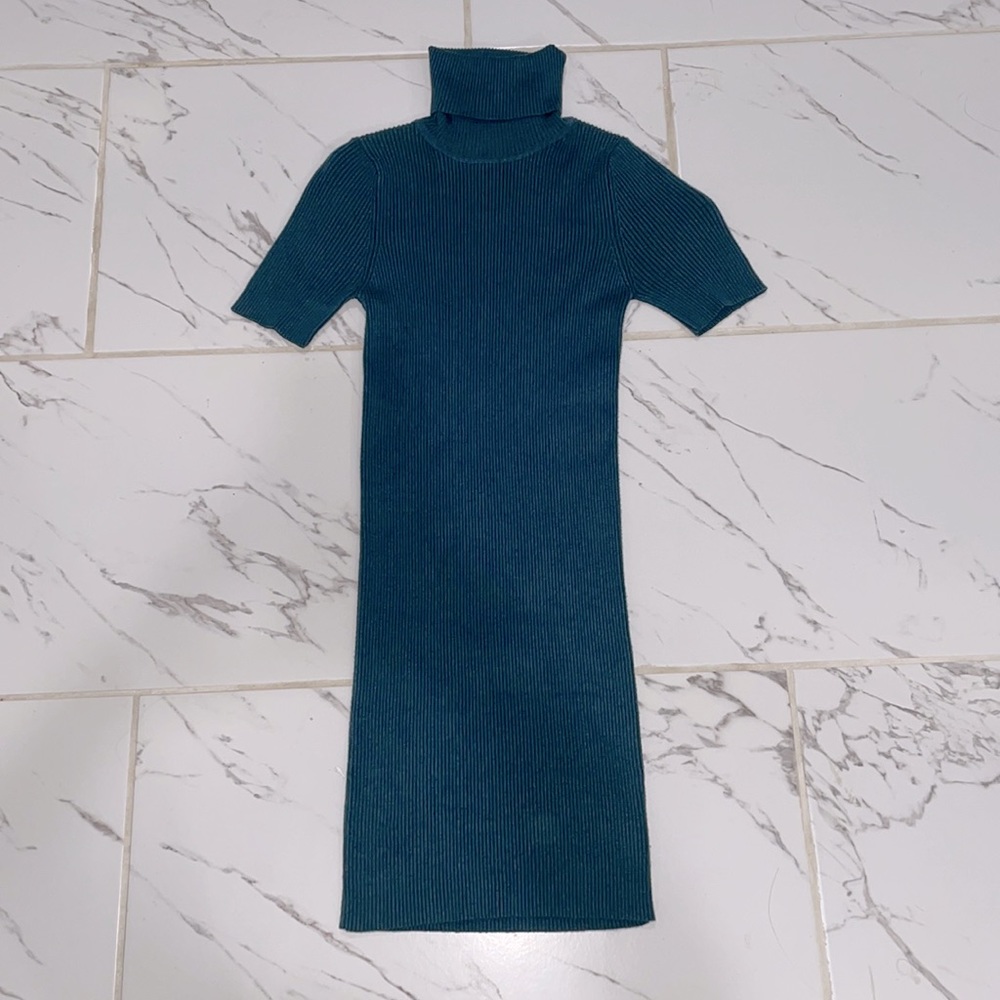 Turtle neck sweater dress